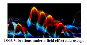 DNA Vibrations